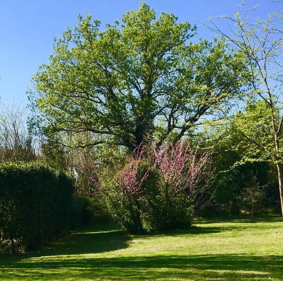 Maison d'hôtes Campagne-Baudeloup LʼIsle-sur-la-Sorgue Exterior foto